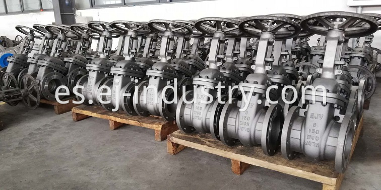 Ejv Gate Valves 2